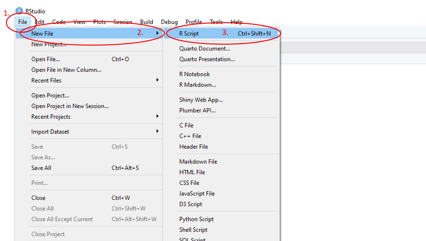 Annotated RStudio GUI: New script