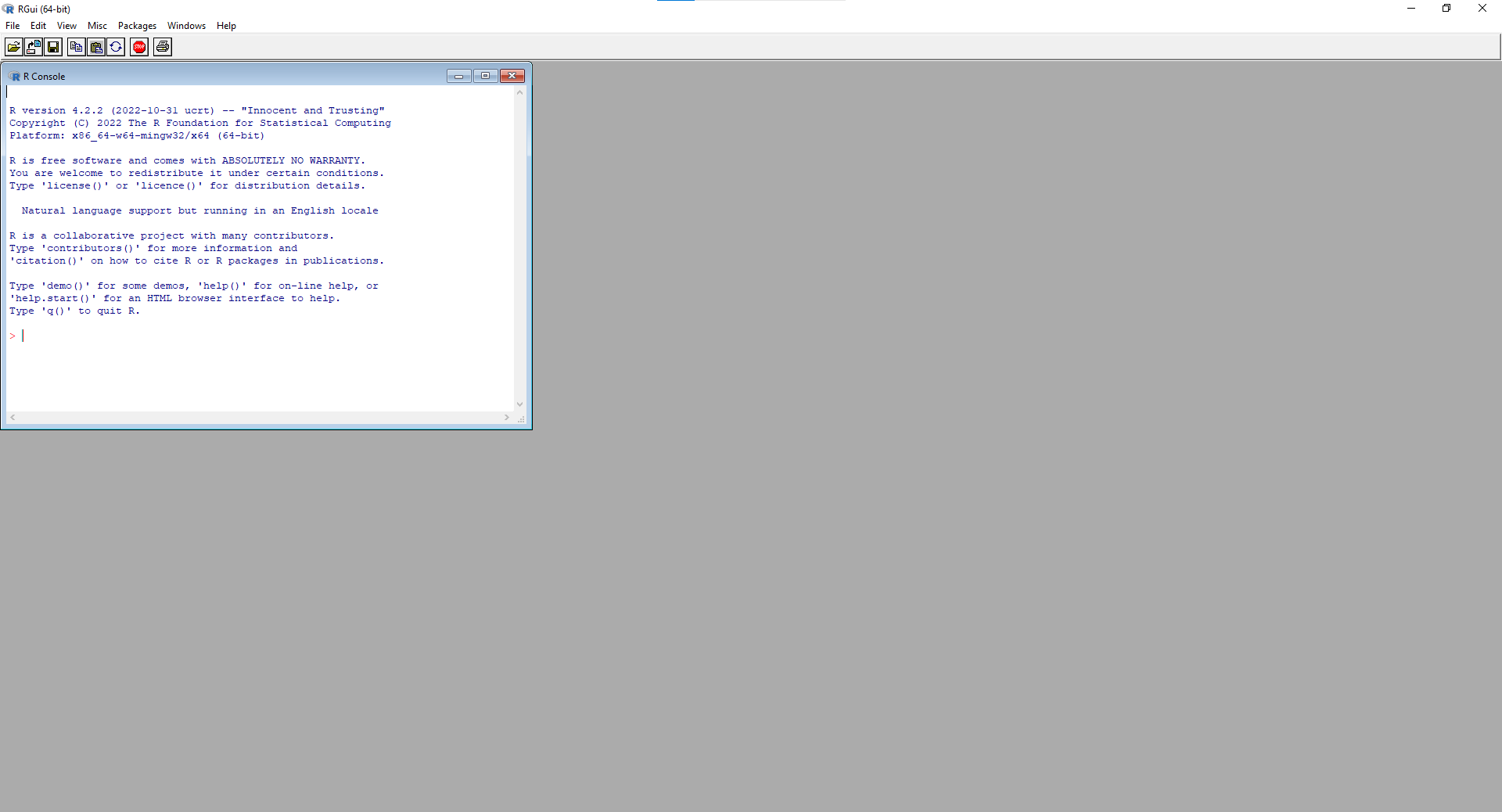 R GUI upon opening