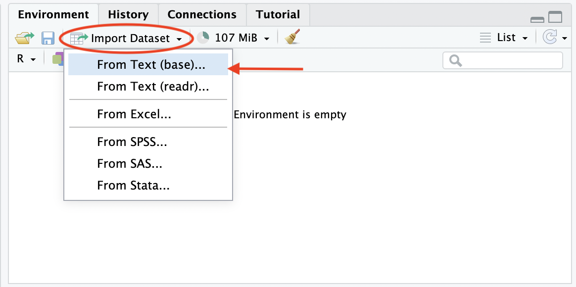 Import data via Environment