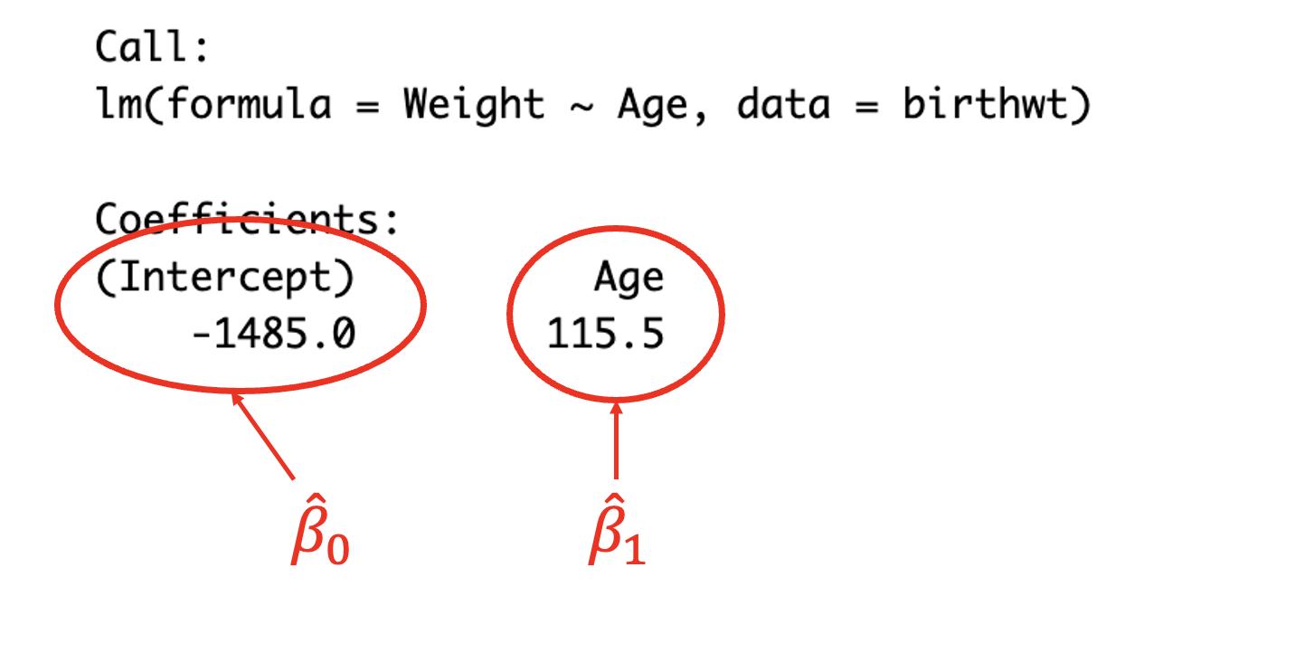 Reading the coefficients from the model output